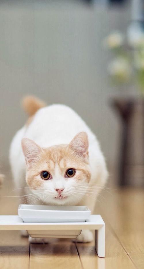 ֣׷ȫʱ̱ŷ ʱ1119Сʱ