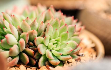 ƺӷⶳٶȼӿ쳤ȴﵽ631.3 ǧ׷